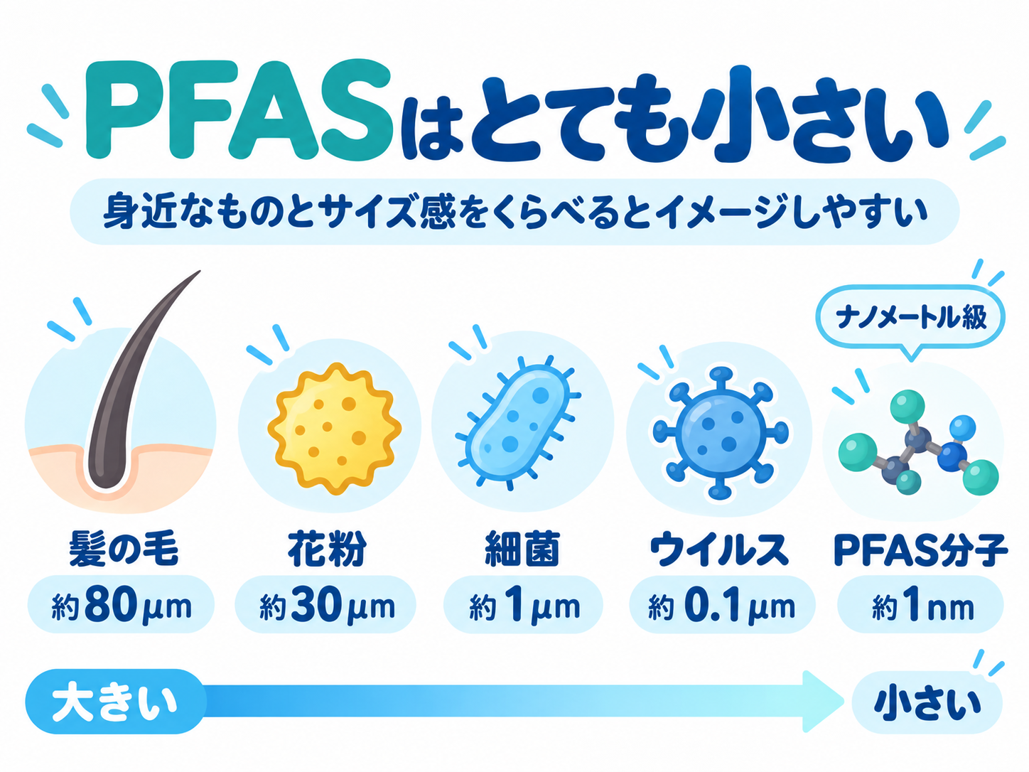 髪の毛、花粉、細菌、ウイルス、PFAS分子の大きさを比べるイメージ図